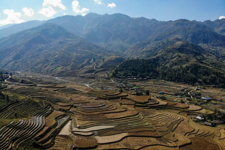 The spectacular terraces of Mu Cang Chai in northern Vietnam lie up to 1,000 metres above sea level. Photo: AFP