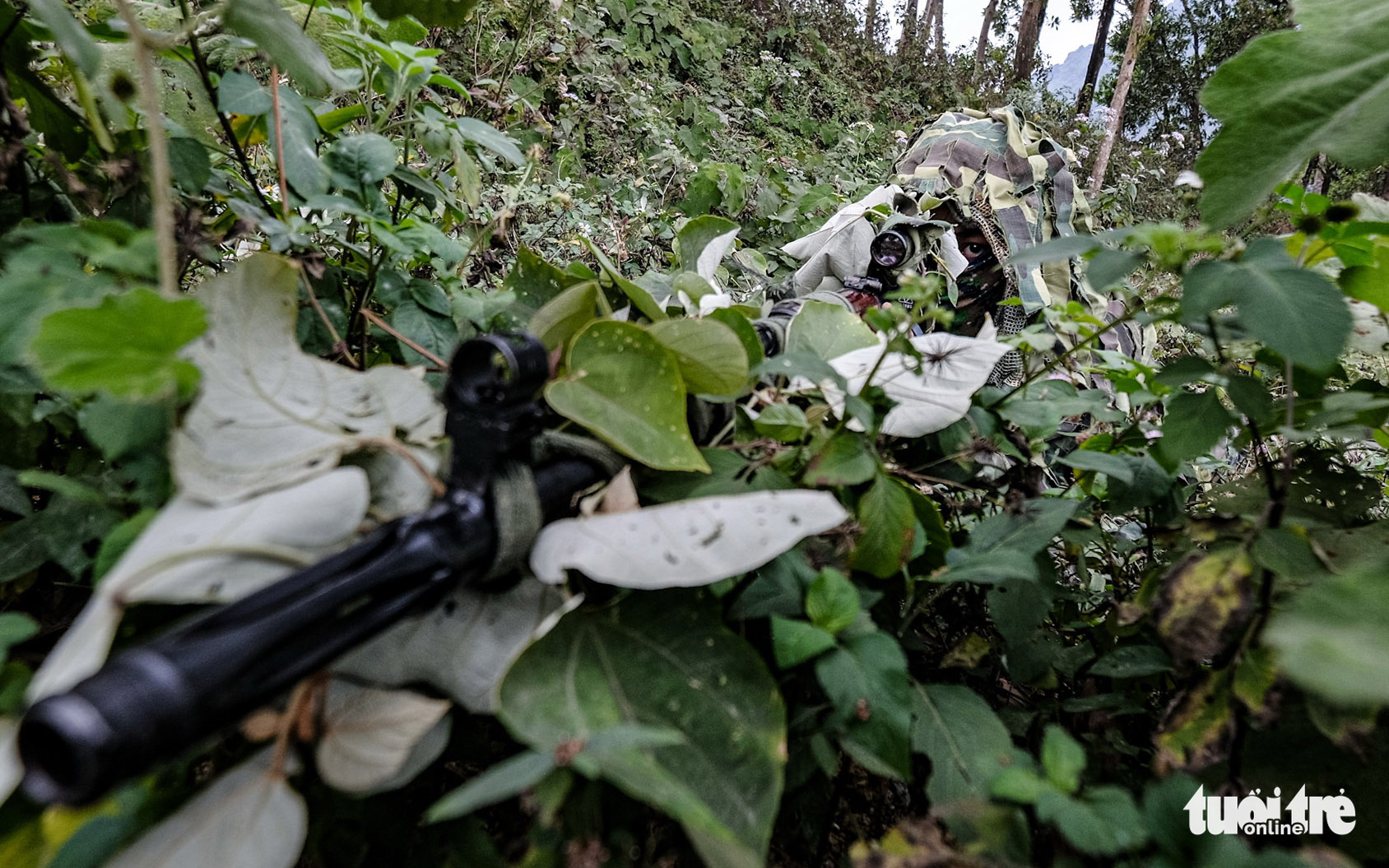 A camouflaged Private Nguyen Van Dong takes aim during sniper training at the National Military Training Center 4 in My Duc District, Hanoi, Vietnam. Photo: Nam Tran / Tuoi Tre