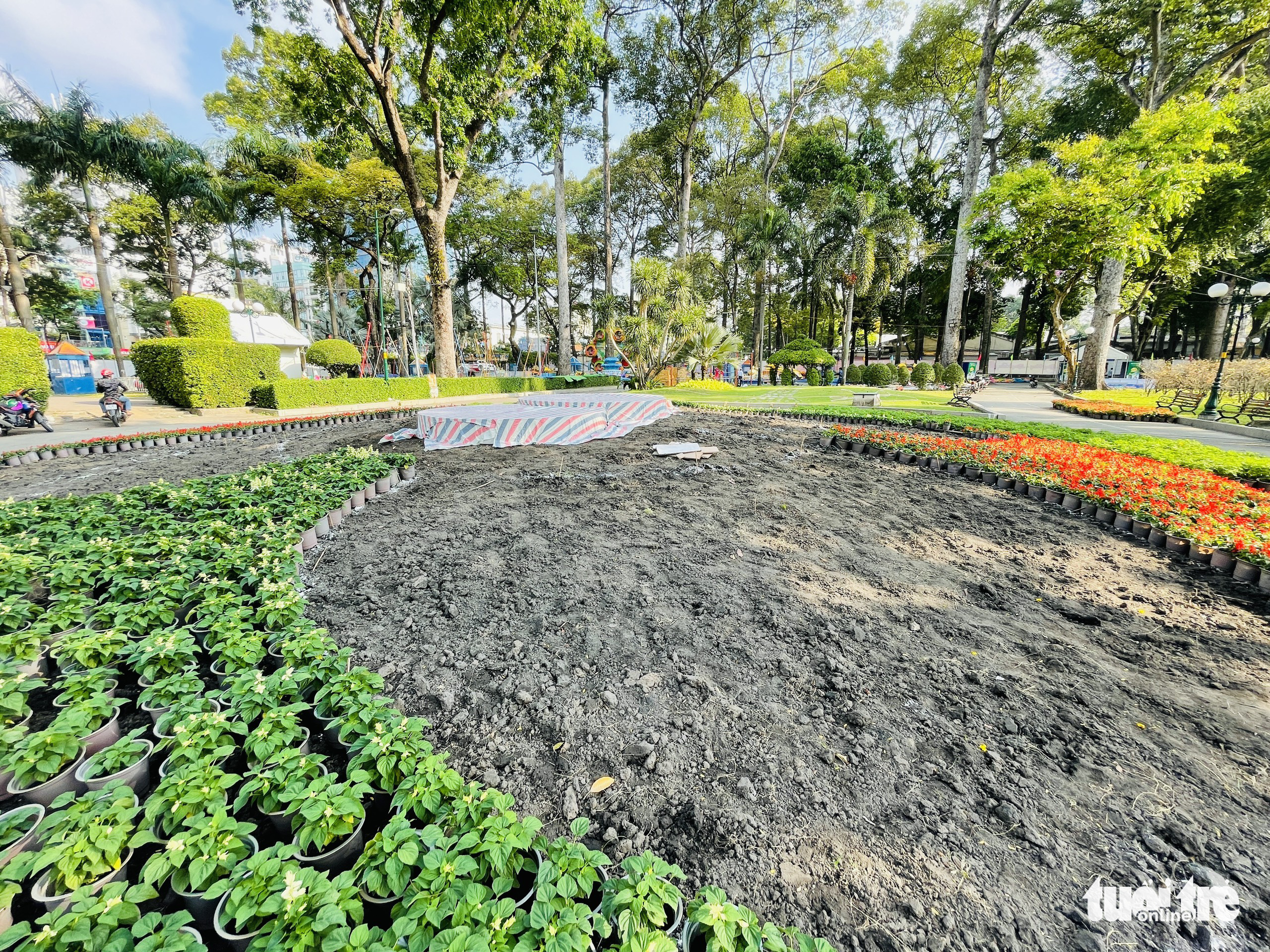 Preparations are being made at the 2022 Tet Flower Festival at Tao Dan Park in Ho Chi Minh City, January 23, 2022. Photo: Le Phan / Tuoi Tre