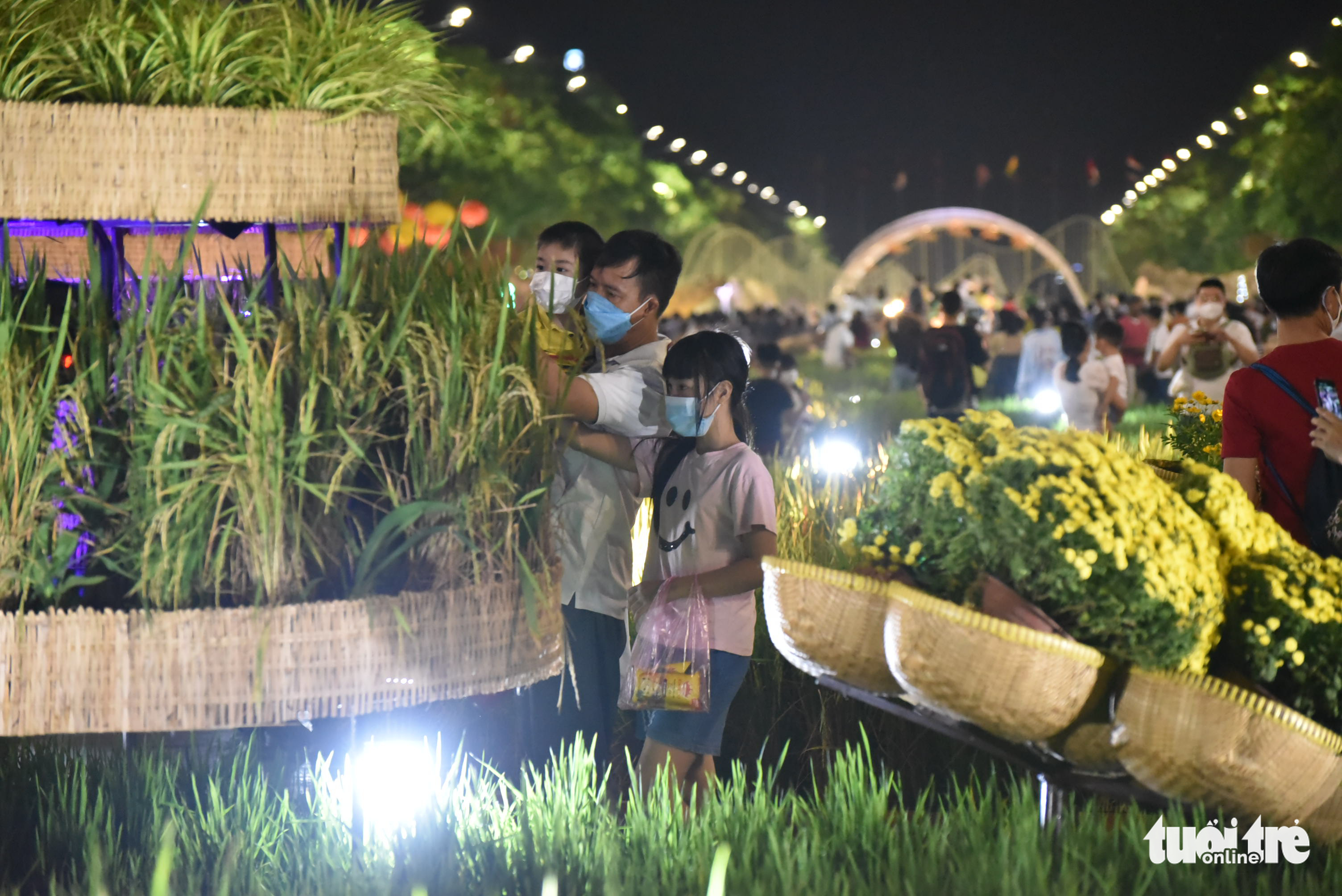  A rice paddy field mini scene is seen on the Nguyen Hue Flower Street in District 1, Ho Chi Minh City, January 29, 2022. Photo: Tuoi Tre