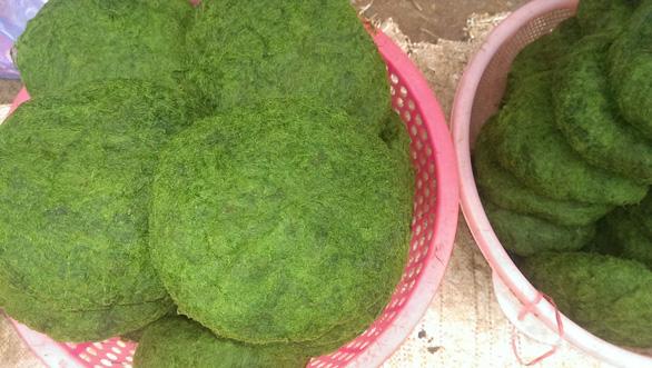 Moss is processed into portions to sell.