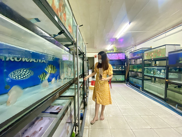 It takes a large area to open up a fish hotel. Photo: Dieu Qui / Tuoi Tre