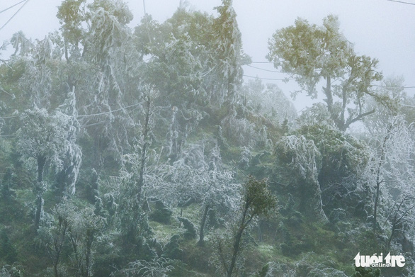 This image shows the top of O Quy Ho Pass that connects Lao Cai and Lai Chau Provinces in northern Vietnam on February 21, 2022. Photo: Nam Tran / Tuoi Tre