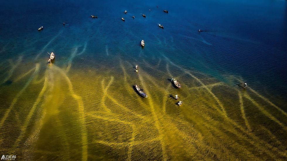 Alex Cao’s photo “Catching Clam” captures the moment of fishermen raking sand to catch “don” (Vietnamese clam) in Quang Ngai Province, Vietnam. Photo: Alex Cao