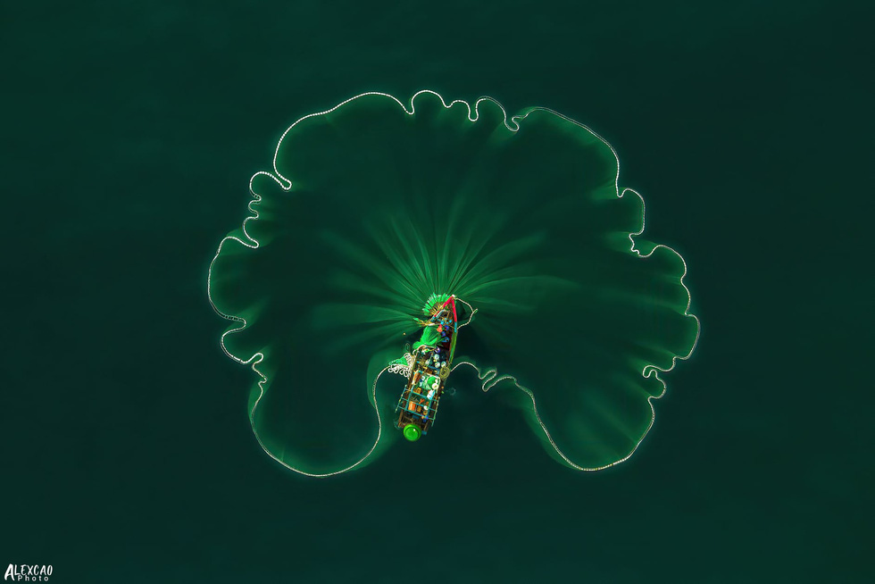 Alex Cao’s “Ocean Lotus Leaf” shows the moment a fishing net is thrown into the magnificent sea of the coast of Quang Ngai Province, Vietnam. Photo: Alex Cao