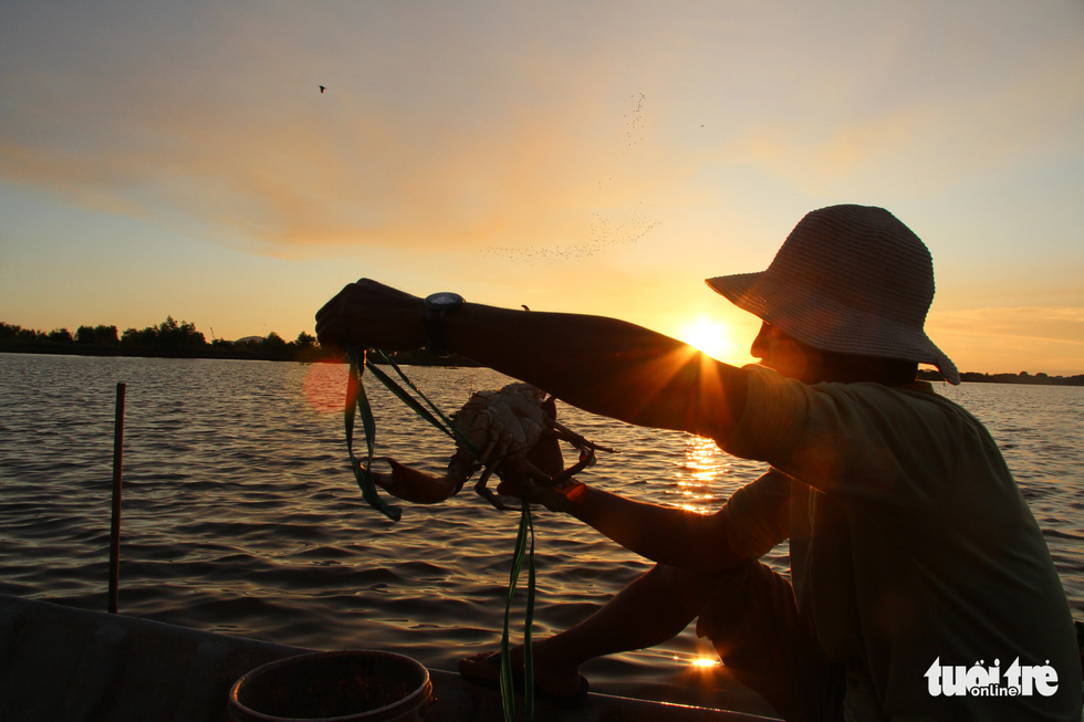 A fisher man brings in his catch at Dong Ho Lagoon, Ha Tien City, Kien Giang Province. Photo: C.Cong / Tuoi Tre