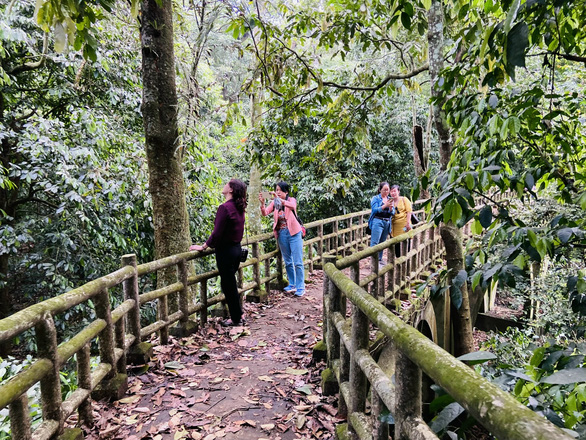 Tourists visit the Cave of Prehistoric Man in Cuc Phuong National Park, Ninh Binh Province, Vietnam. Photo: T.DIEU / Tuoi Tre