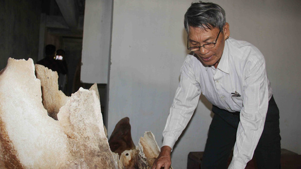 Pham Thoai Tuyen, a senior resident in Ly Son District, Quang Ngai Province, central Vietnam is seen next to the original skeletons of the two huge whales. Photo: Truong Trung / Tuoi Tre