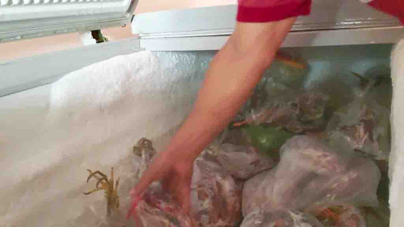 One of the three large freezers full of storks at Tai’s house in Tram Chim Town, Dong Thap Province. Photo: D.Qui / Tuoi Tre