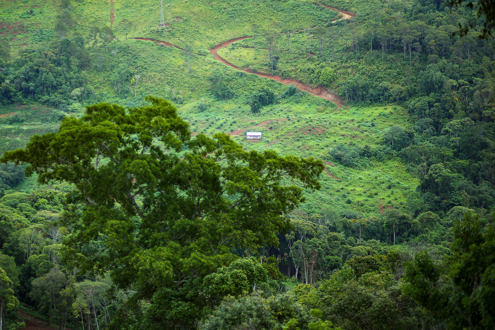 A bird’s-eye view of landscape in Mang Den Town, Kon Plong District, Kon Tum Province, Vietnam. Photo: Do Do / Tuoi Tre