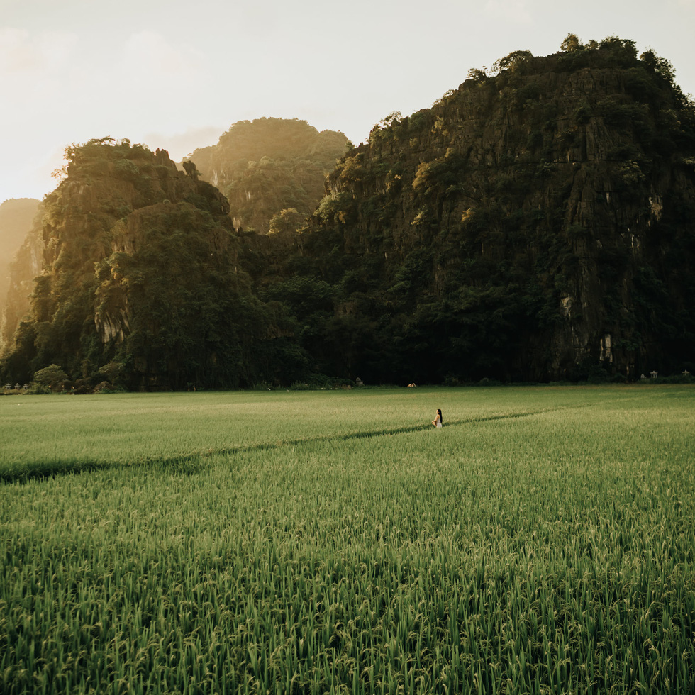 A young woman poses for a photo at a rice paddy field in Ninh Binh Province, Vietnam. Photo: Tiem anh 23.4 / Handout via Tuoi Tre