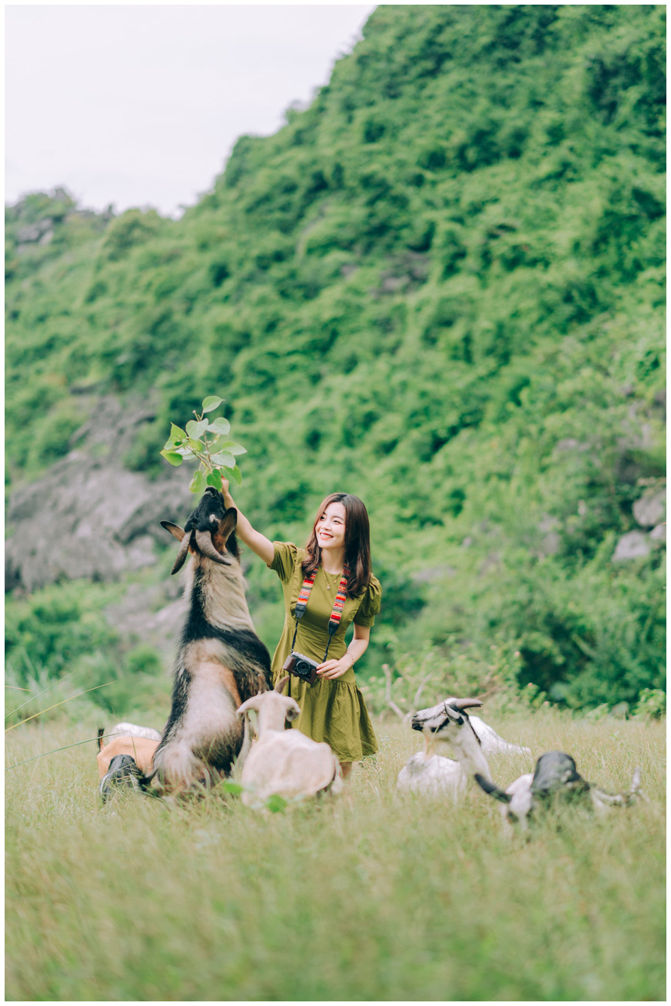 A young woman feeds goats of locals at Tam Coc - Bich Dong landscape complex in Ninh Binh Province, Vietnam. Photo: Tiem anh 23.4 / Handout via Tuoi Tre