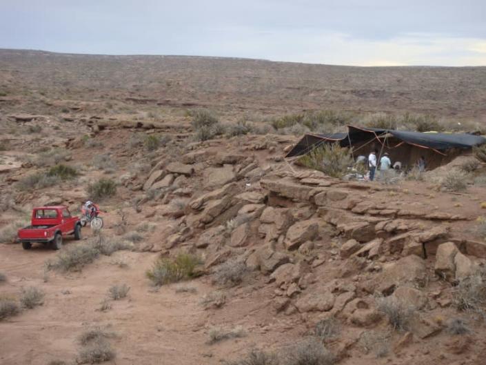 Meraxes gigas was dug up over the course of four years during field expeditions in the northern Patagonia region of Argentina. Photo: AFP