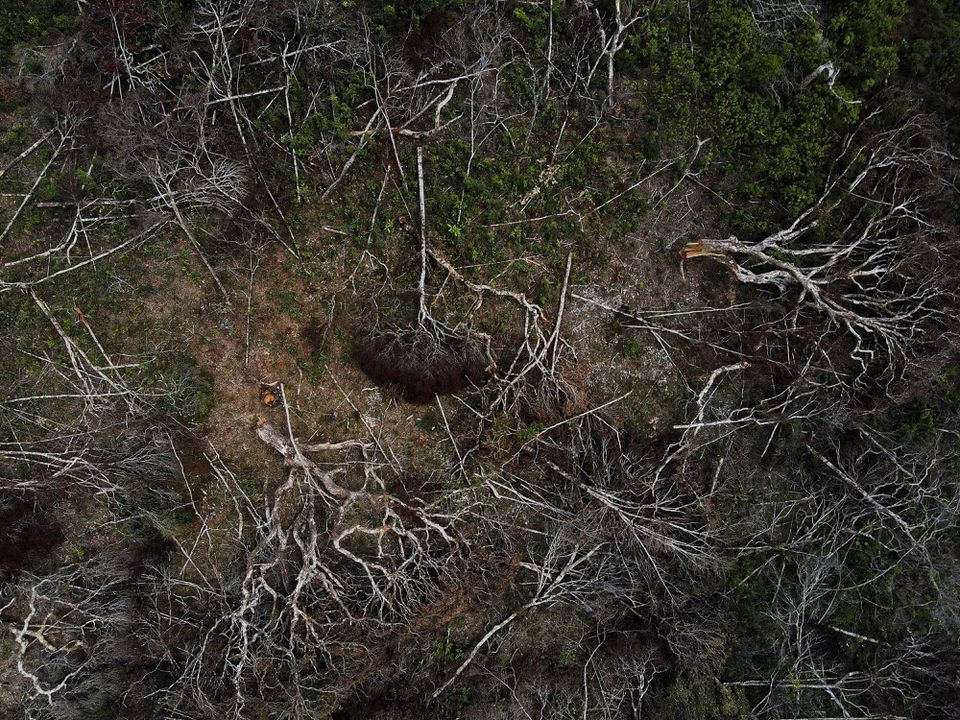 An aerial view shows a deforested plot of the Amazon rainforest in Manaus, Amazonas State, Brazil July 8, 2022. Photo: Reuters