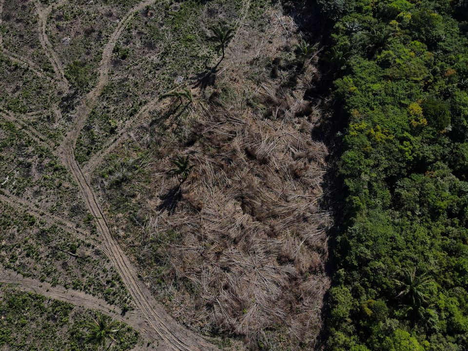 An aerial view shows a deforested plot of the Amazon rainforest in Manaus, Amazonas State, Brazil July 8, 2022. Photo: Reuters