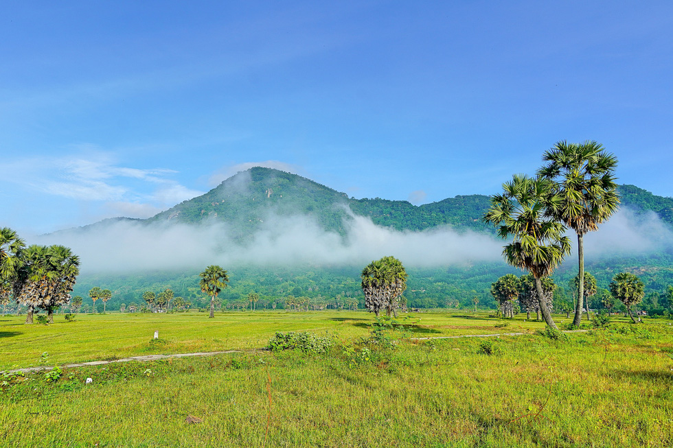 Cam Mountain or Ong Cam Mountain, or Thien Cam Son, is the most beautiful range in the marvelous Seven Mountains region. For years, the mountain has been known as a symbol of tourism in An Giang. The mountain sits in An Hao Commune in Tinh Bien District, with the height of 715 meters above sea level. This is the tallest mountain in the Mekong Delta. Photo: Duong Viet Anh / Tuoi Tre