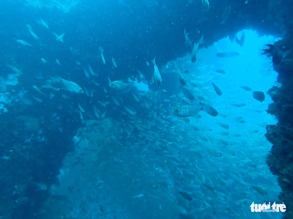 A South Korea expert motions workers to drop a concrete block into the deep sea to form reefs for fish and shrimp. Photo: B.D.