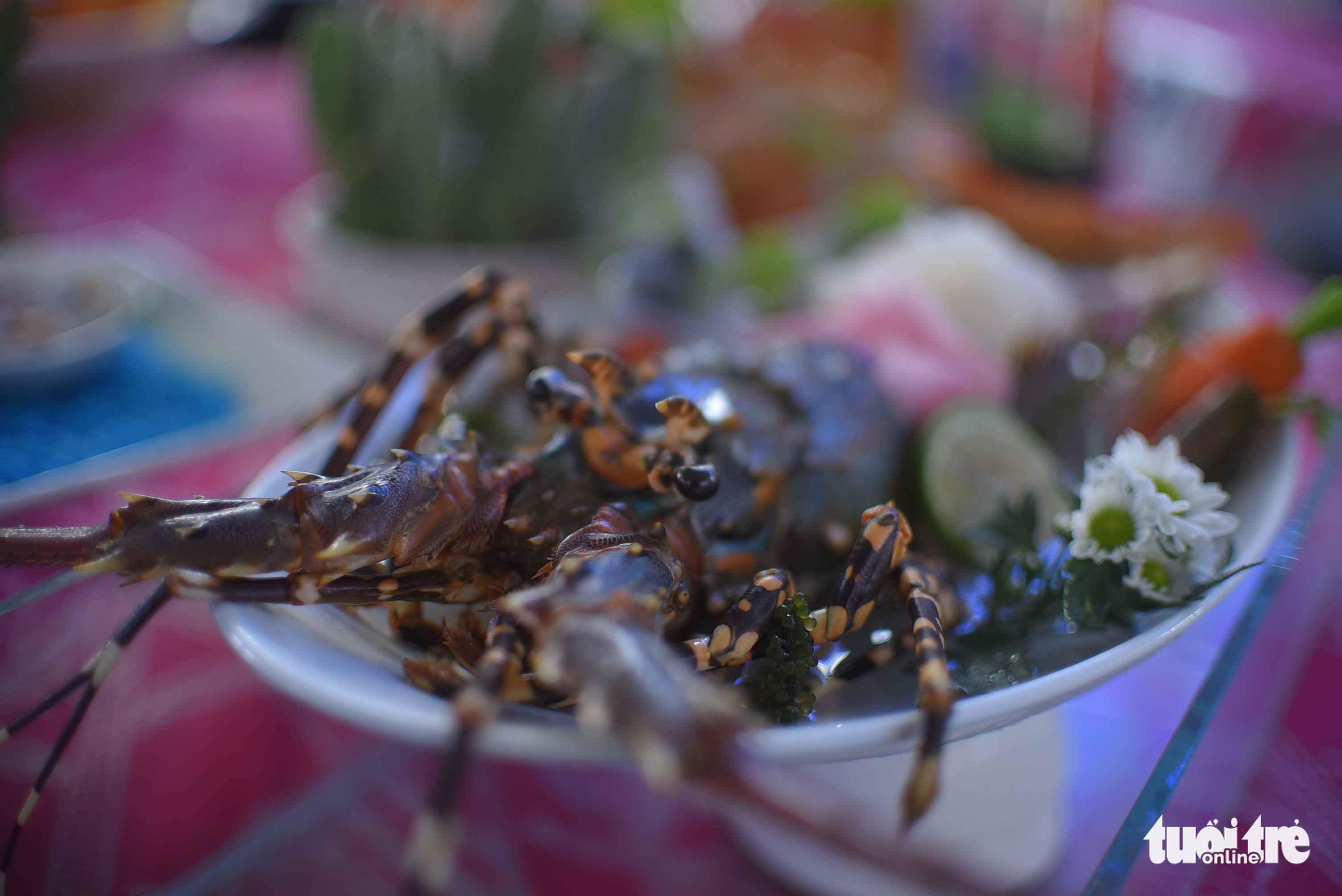 A lobster dish on display at a culinary contest in Phu Yen Province, Vietnam, July 31, 2022. Photo: Lam Thien / Tuoi Tre