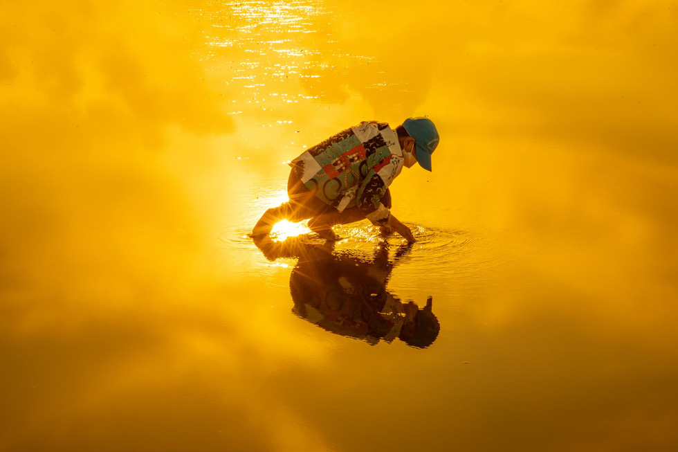 A local hunt clams at Thuy Xuan Beach, Thai Thuy District, Thai Binh Province, northern Vietnam. Photo: Doan Ngoc Anh / Tuoi Tre