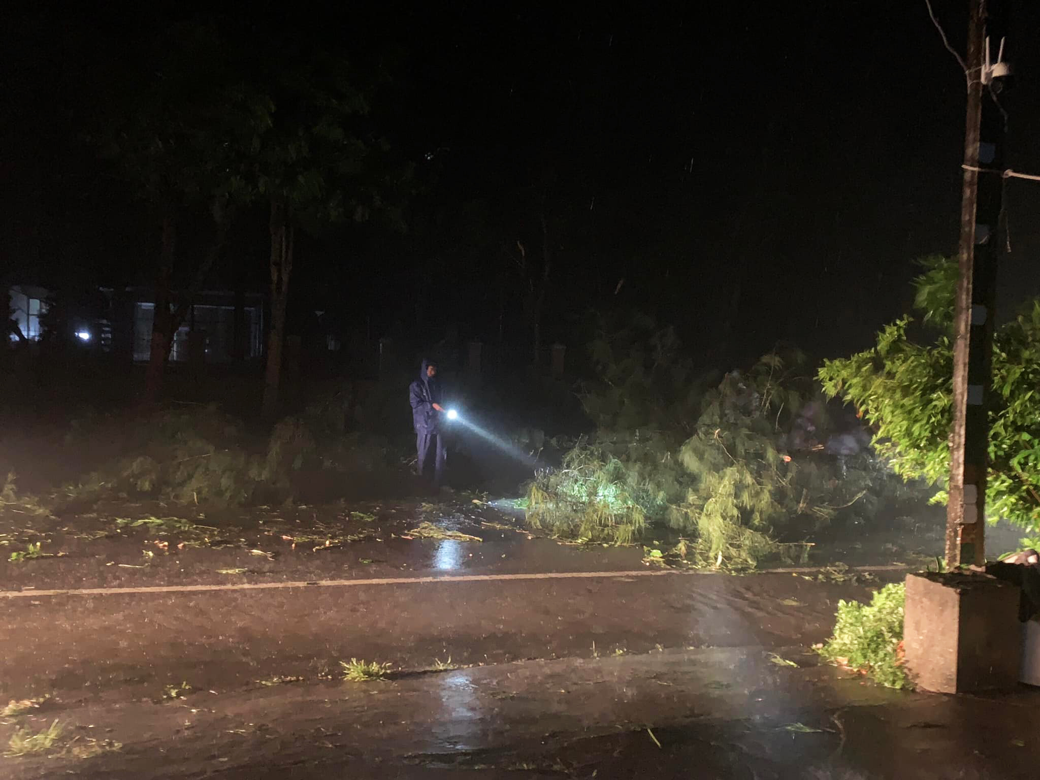 Trees are uprooted in Quang Ninh Province, Vietnam, August 25, 2022. Photo: Nguyen Hung / Tuoi Tre
