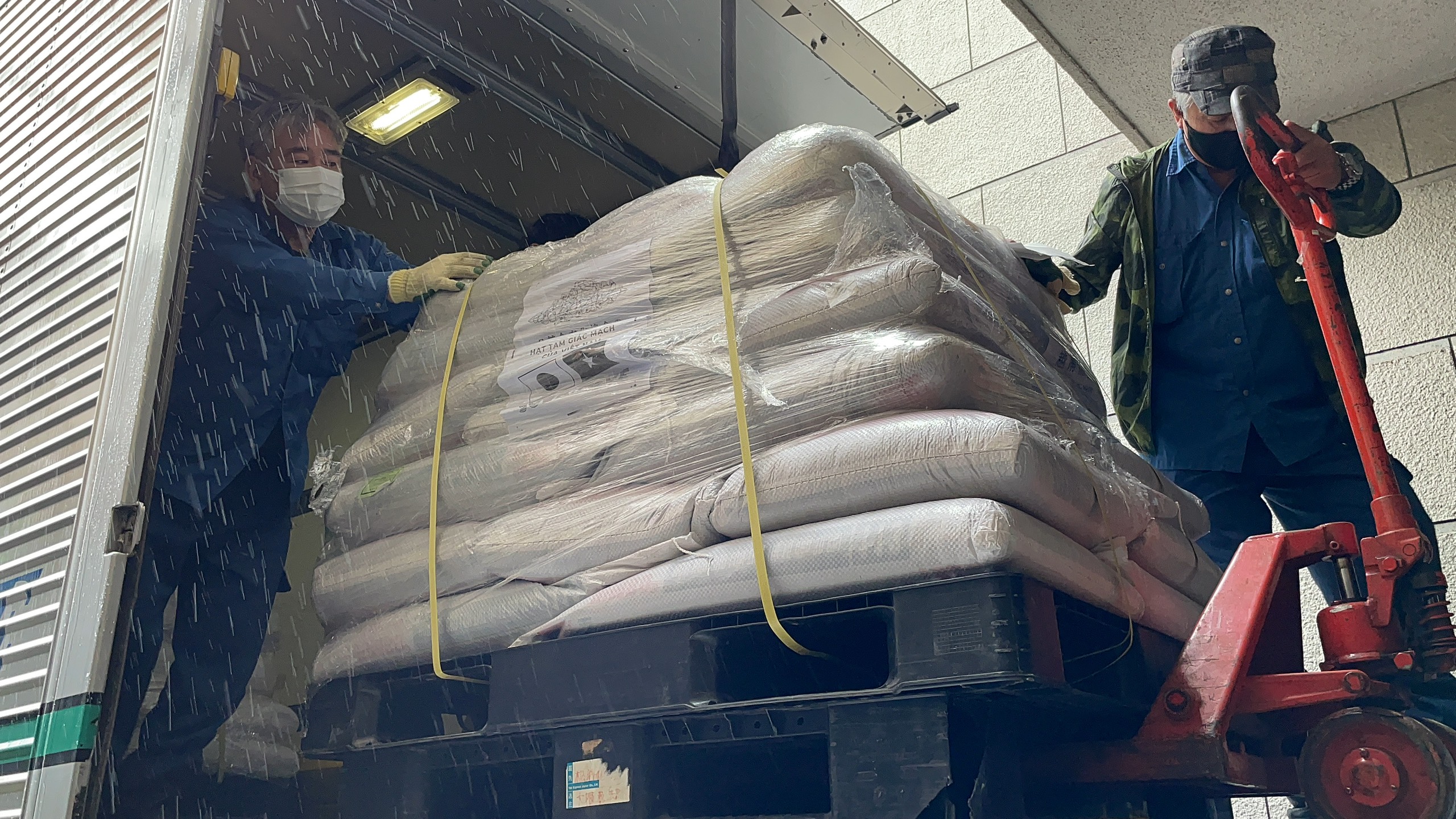 The first shipment of Vietnamese buckwheat arrived in Tokyo on June 6, 2022, in a photo by JVGA.