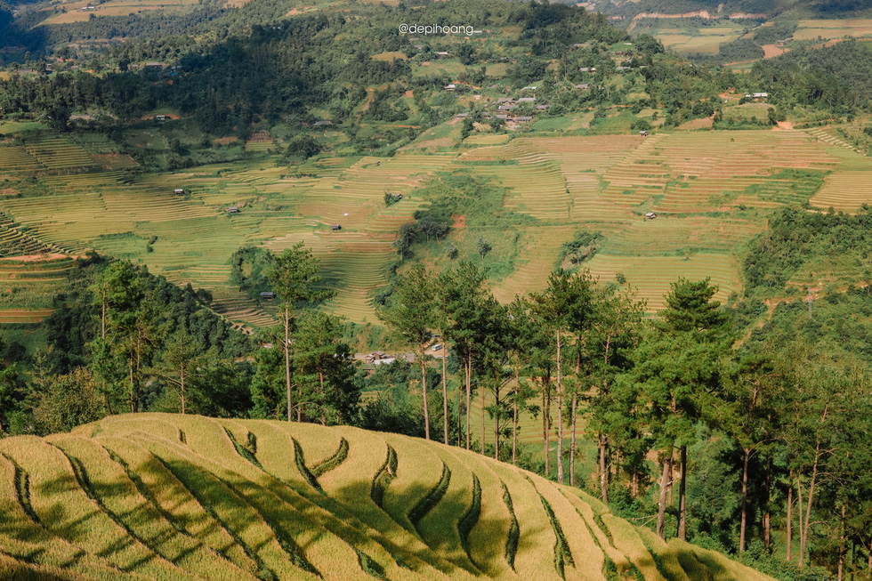 Mu Cang Chai is full of terraced rice fields towering so high they appear to touch the clouds. Photo: Hoang Diep / Tuoi Tre