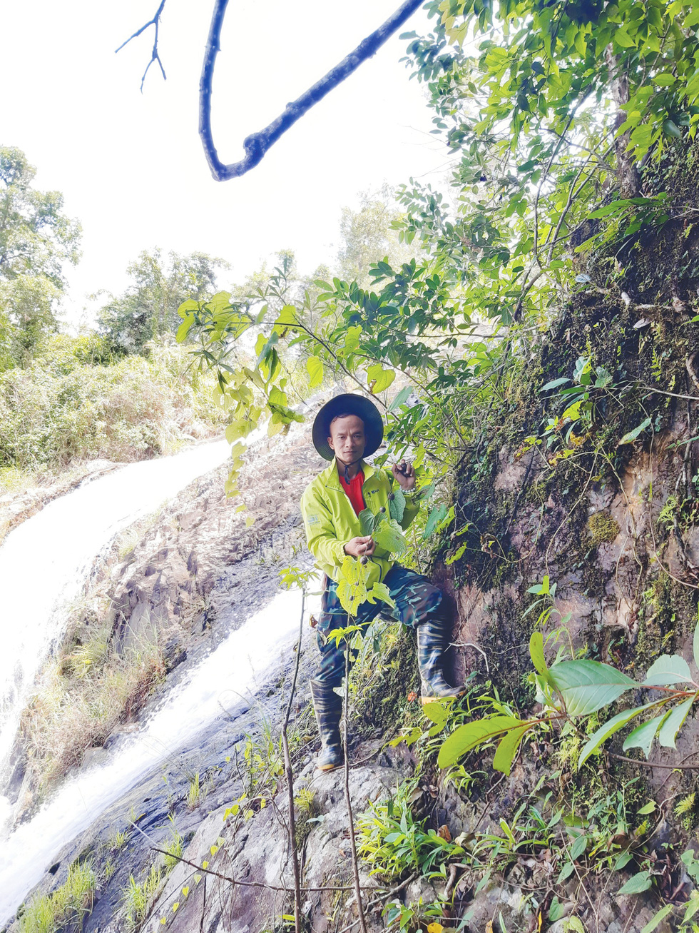 Vo Quang Trung walks through a forest at the Dong Nai Culture and Nature Reserve. Photo: Trong Nhan / Tuoi Tre