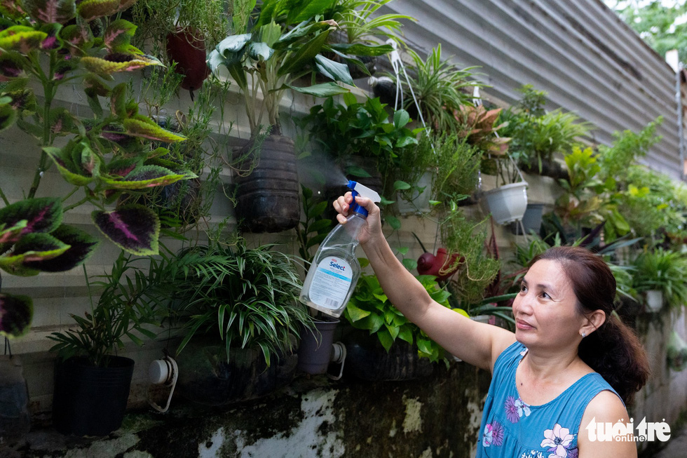 Le Thi Thuy, living in Alley 837 on Hoang Sa Street in District 3, takes care of tree pots hanging on a wall. Photo: Huu Hanh / Tuoi Tre