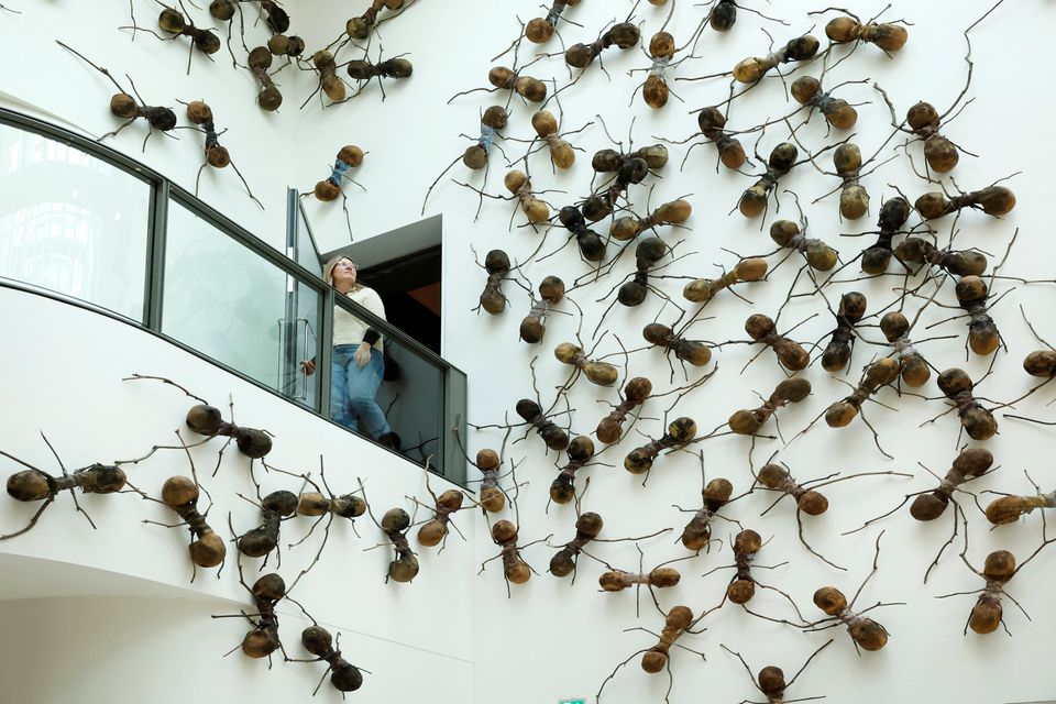 The exhibition Casa Tomada from artist Rafael Gomezbarros is displayed at Rijksmuseum in Amsterdam, Netherlands September 16, 2022. Photo: Reuters