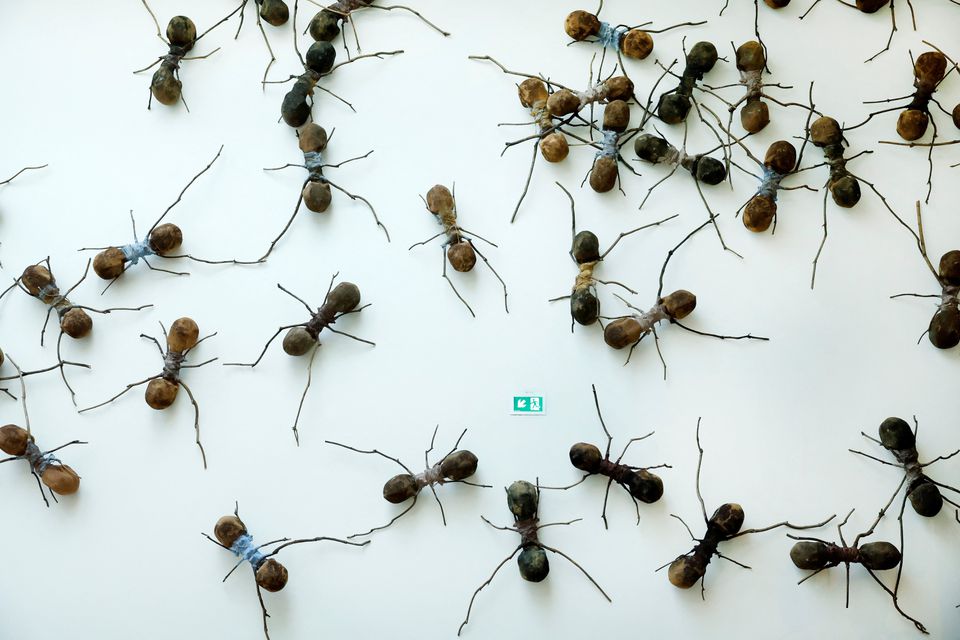 The exhibition Casa Tomada from artist Rafael Gomezbarros is displayed at Rijksmuseum in Amsterdam, Netherlands September 16, 2022. Photo: Reuters