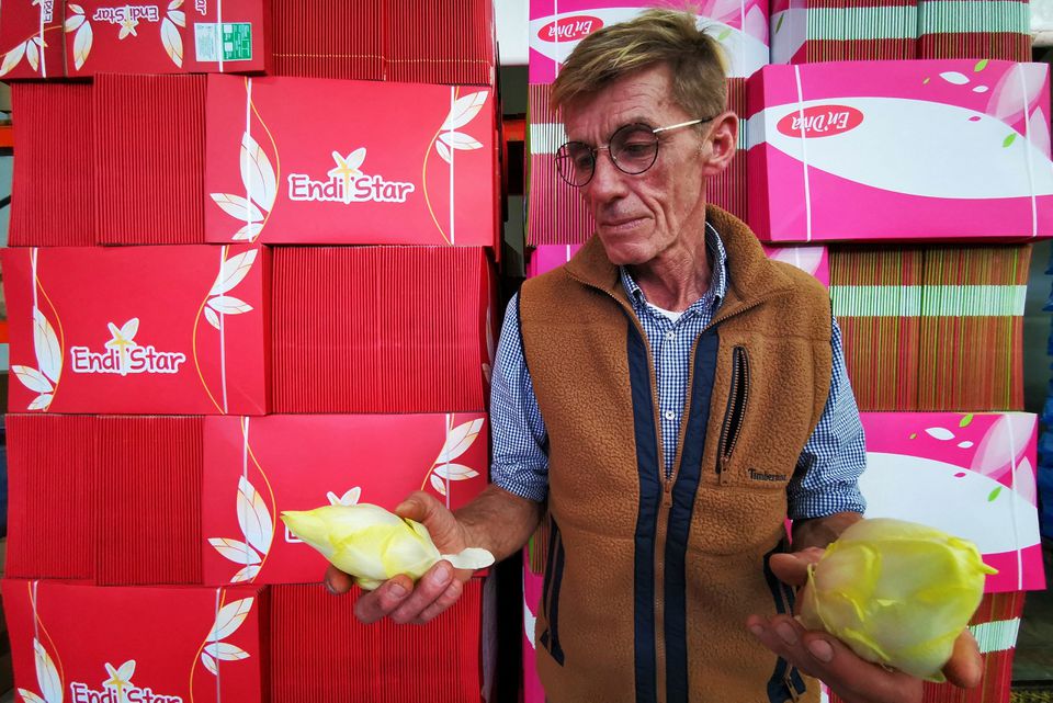 Endive farmer Emmanuel Lefebvre holds endives as he stands in front of empty boxes used in packaging endives in the De La Marliere endive production site in Bouvines, France, September 15, 2022. Photo: Reuters