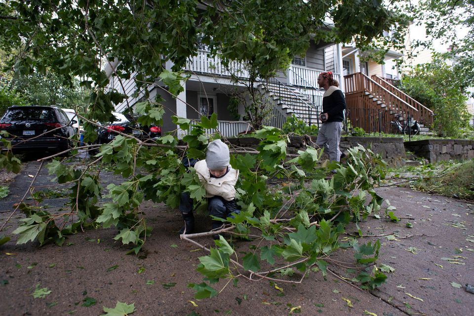 Milo Reichert helps his neigbour clear some branches on MacDonald Street following the passing of Hurricane Fiona, later downgraded to a post-tropical storm, in Halifax, Nova Scotia, Canada September 24, 2022. Photo: Reuters