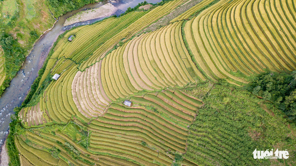 A bird’s-eye view of the terraced fields in Mu Cang Chai Town, northwestern Vietnam. Photo: Nam Tran / Tuoi Tre
