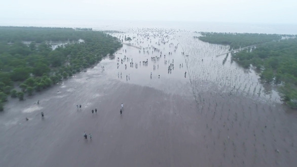 Visitors crowd Thuy Xuan Beach, Thai Thuy District, Thai Binh Province, northern Vietnam. Photo: Nguyen Duy Long / Tuoi Tre