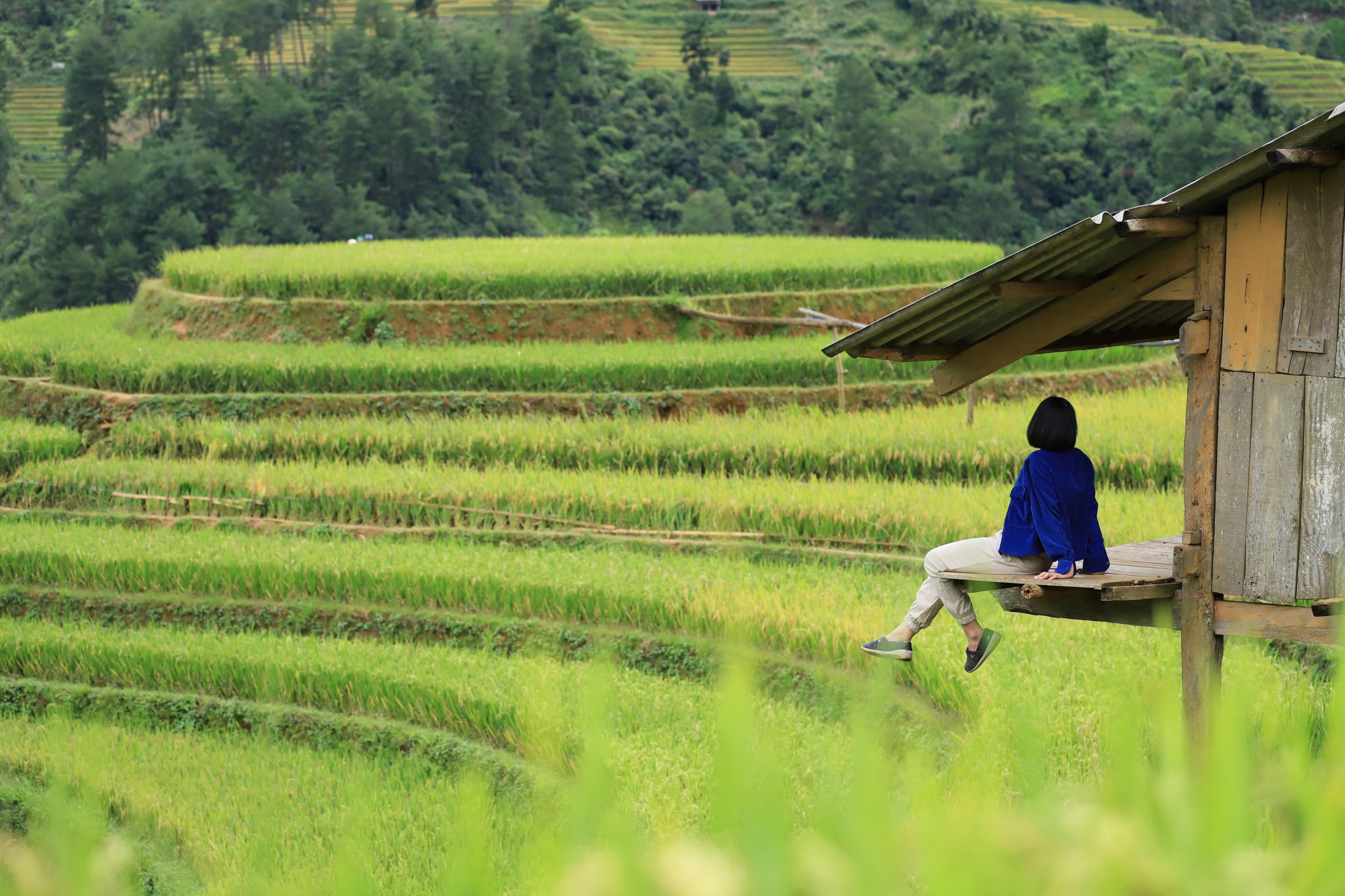 A traveler sits in a stilt house to admire Mam Xoi Hill in Mu Cang Chai District, Yen Bai Province, Vietnam. Photo: Dang Le / Tuoi Tre News