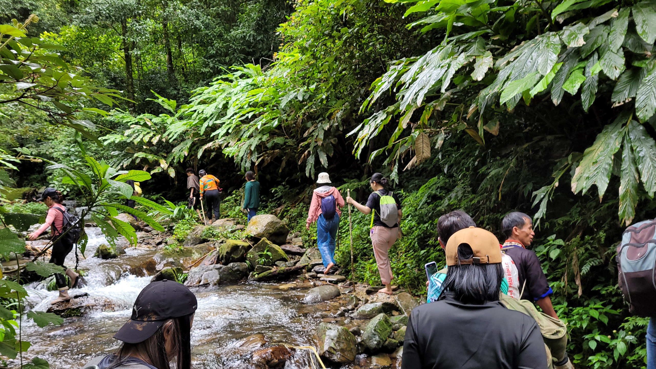 Trekkers wade through creeks during the trekking trip to Ta Cua Y Valley in Mu Cang Chai District, Yen Bai Province, Vietnam. Photo: Tri Ta / Tuoi Tre News