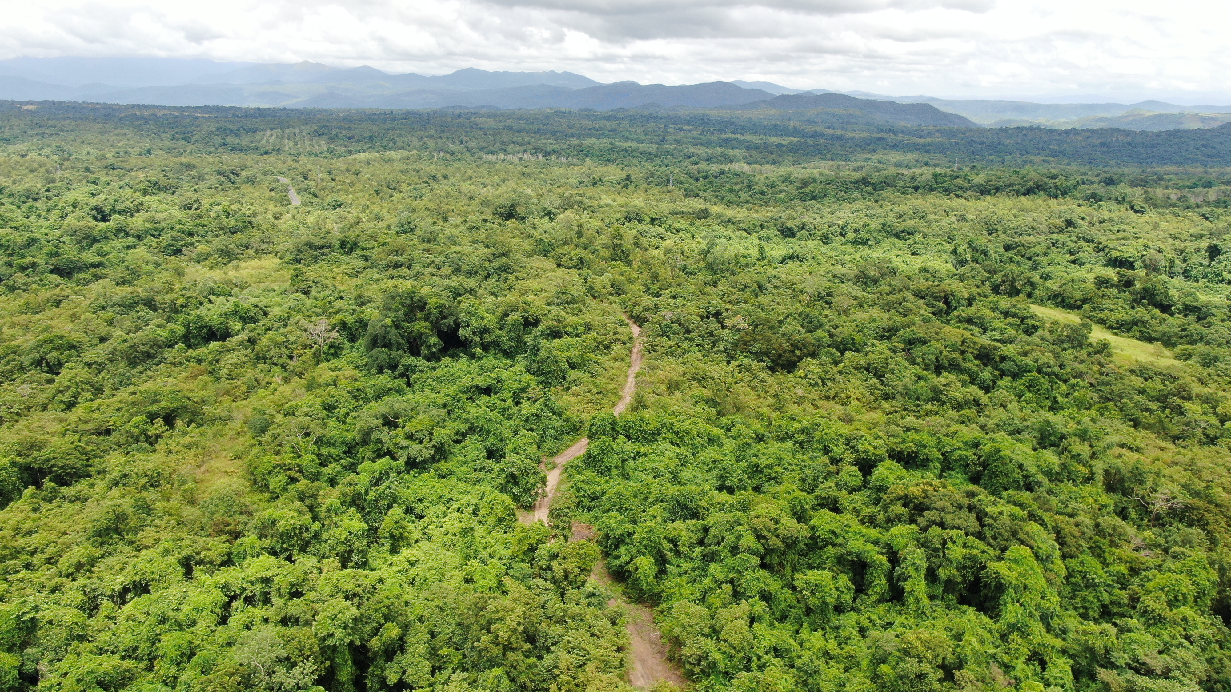 A trail leading to Y Luyen Nie Kdam’s farm within the Ea So nature reserve in Dak Lak Province, Vietnam. Photo: Trung Tan / Tuoi Tre
