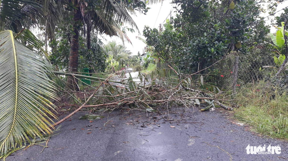 Local residents use tree branches to warn of the land collapse in Tien Giang Province, southern Vietnam, October 9, 2022. Photo: Hoai Thuong / Tuoi Tre