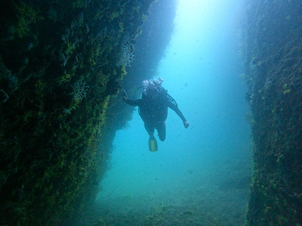 Scuba divers can observe coral reefs, as well as see other creatures living deep in the sea. Photo: Hoang Thuy Duong