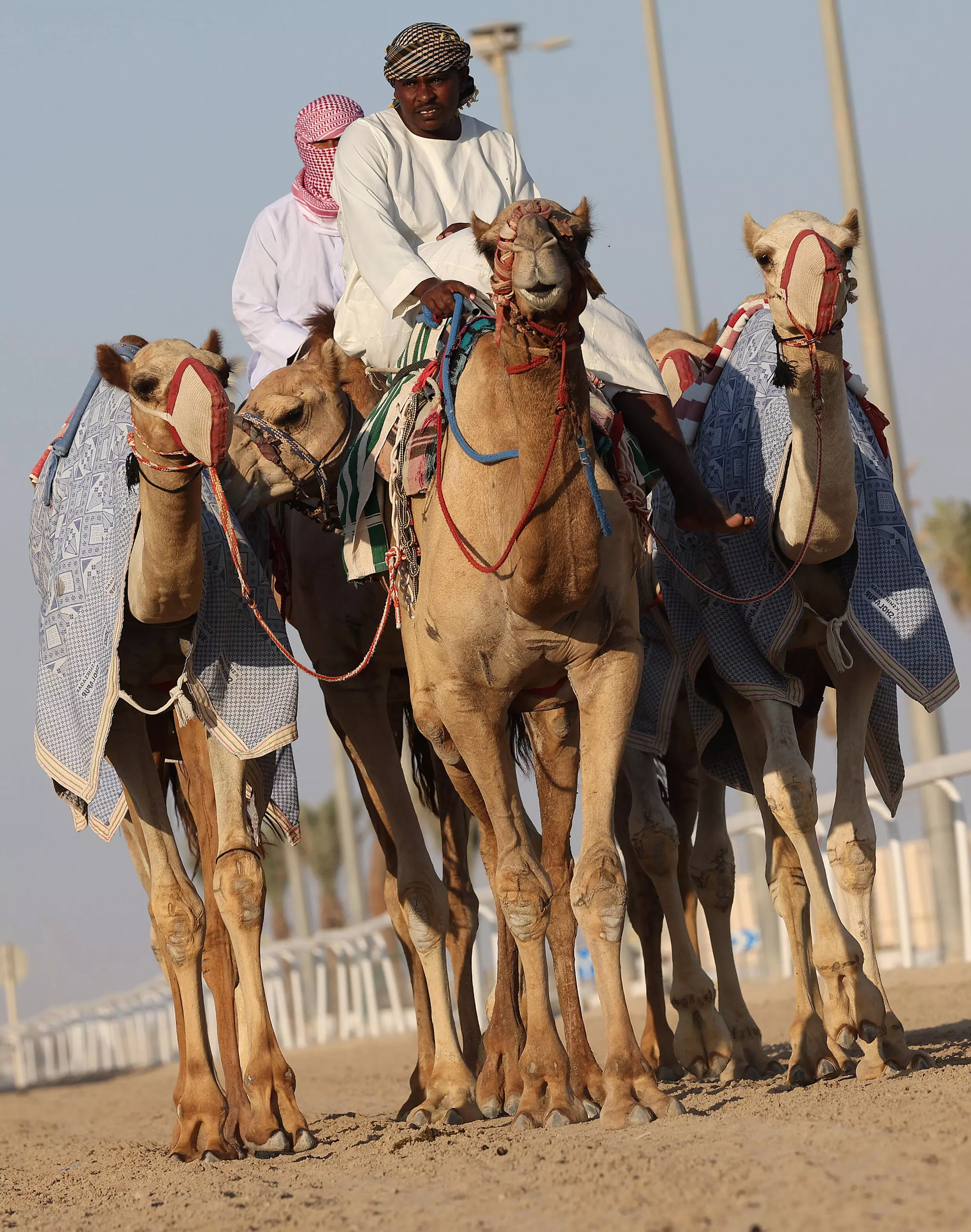 Bets are forbidden in the Islamic country, but jockeys play for highly valuable prizes usually offered by the ruling family. Photo: AFP