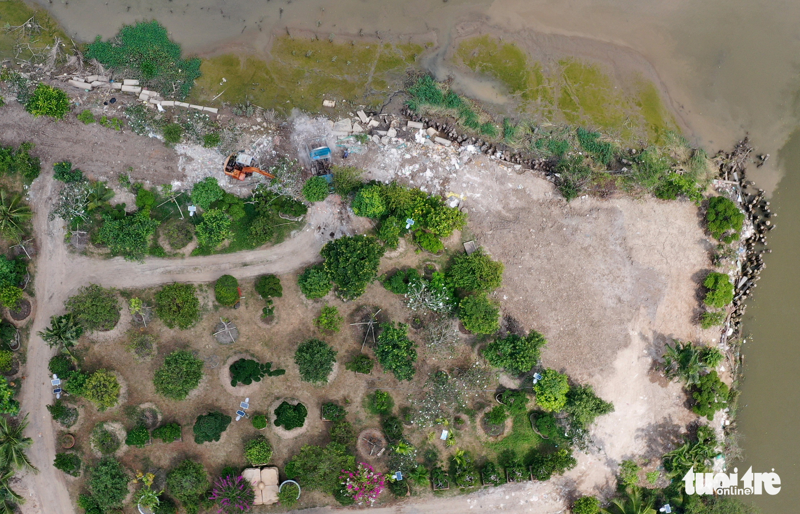 Trees are planted on a new plot that is formed by encroaching on a riverbed in Nha Be District, Ho Chi Minh City. Photo: Tu Trung / Tuoi Tre