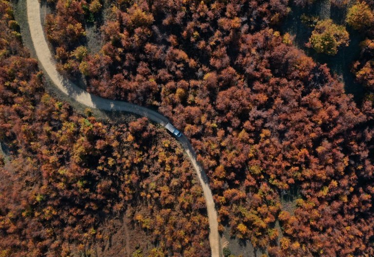 An aerial view taken on October 26, 2022, shows a truck loaded with wood logs rides near the village of Dardhe near Pogradec, southeastern Albania, where few Balkan lynx may live. Photo: AFP
