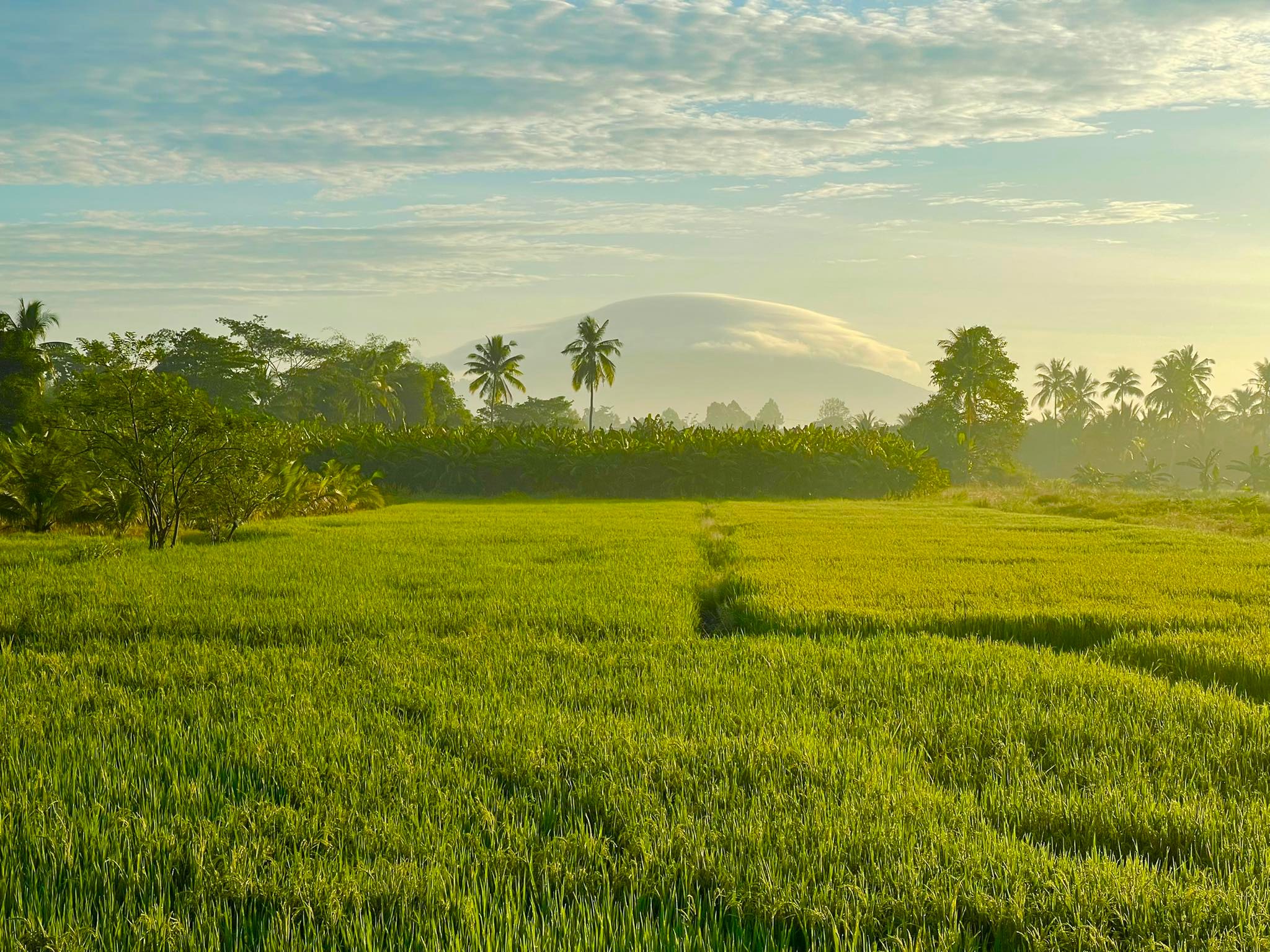 Lenticular clouds are seen atop Chua Chan Mountain in Dong Nai Province, Vietnam, November 25, 2022. Photo: Nguyen Hau