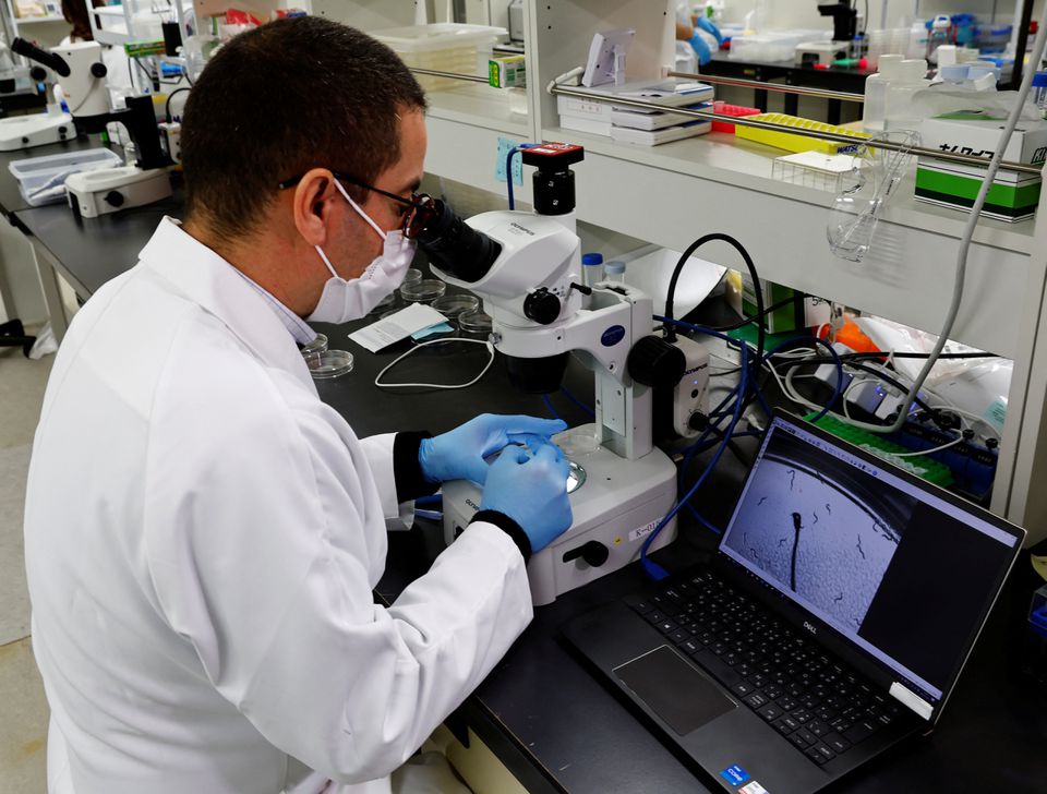 Researchers find mechanism behind malignant pancreatic cancer- Ảnh 2.