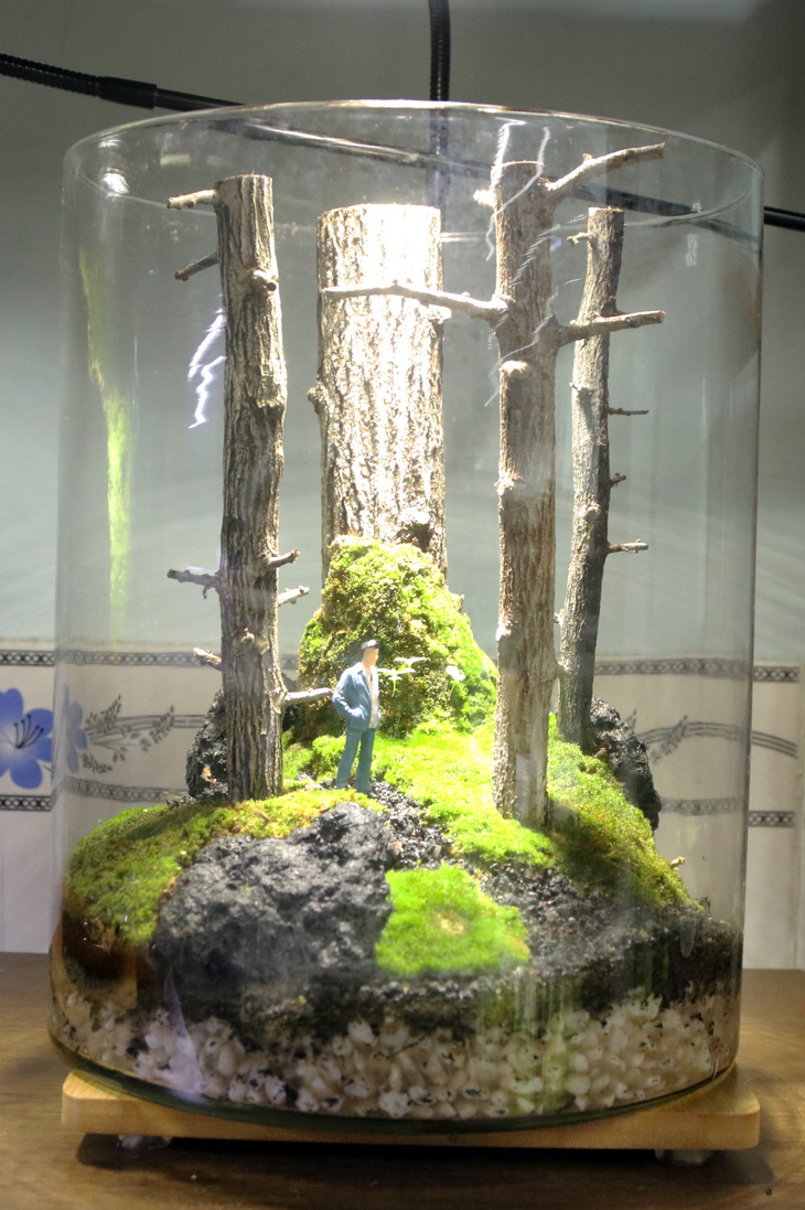 Some terrariums are closed, relying on evaporation and condensation to sustain life.