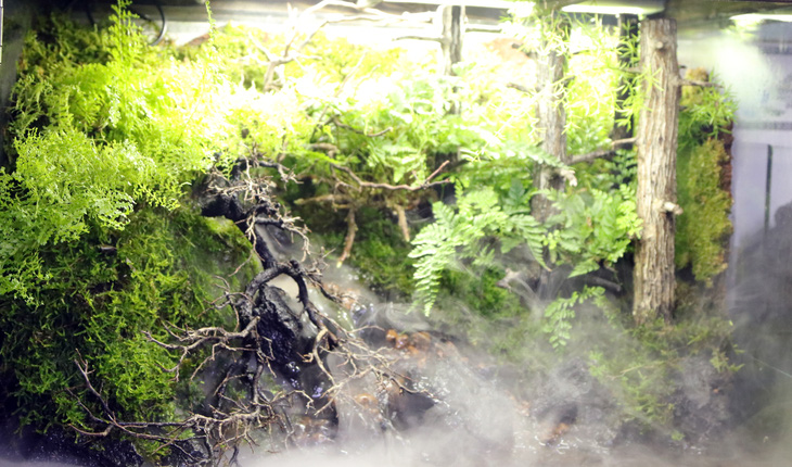 A terrarium is often a self-sustaining ecosystem.