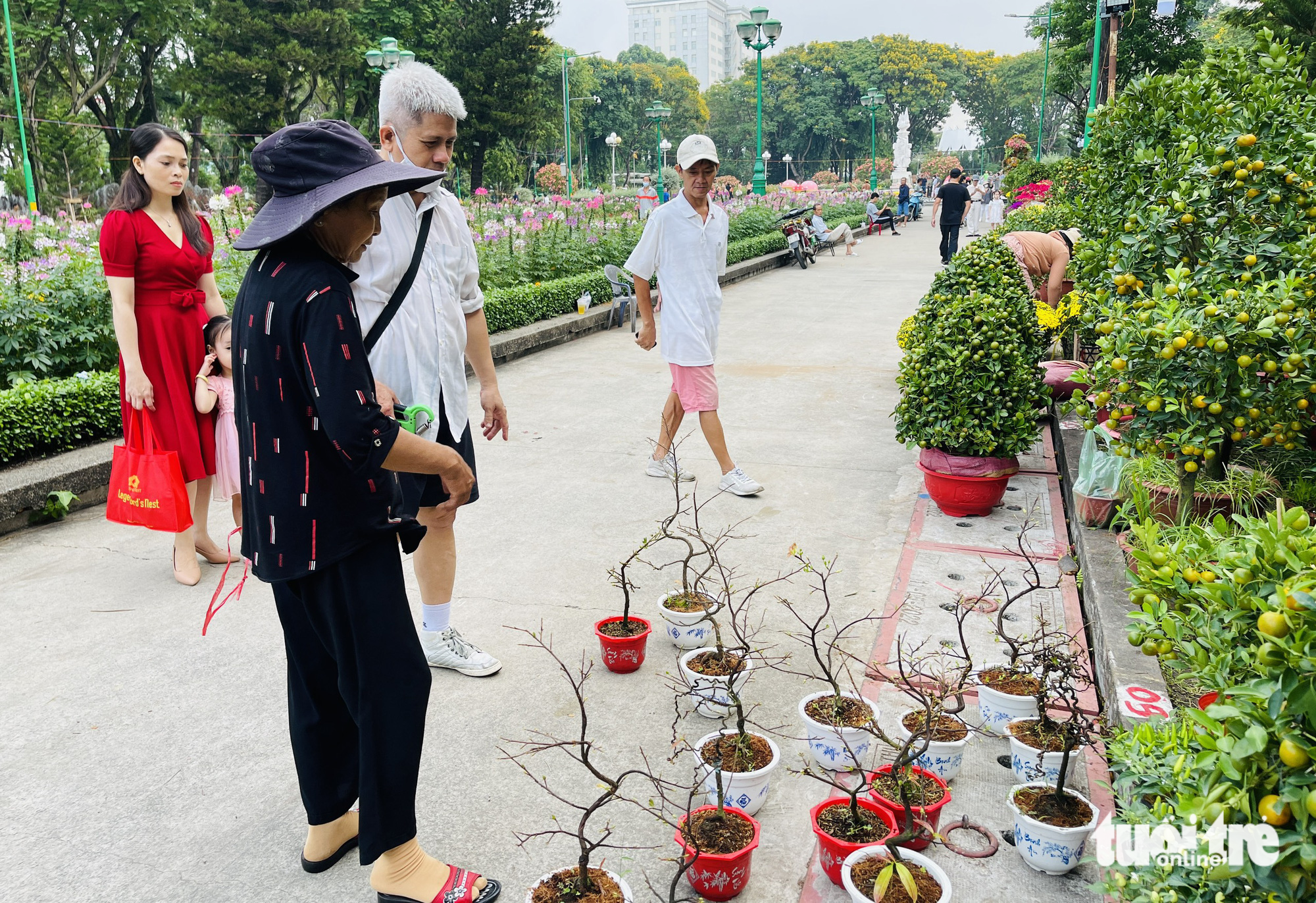 Customers buy flowers at a market at Le Van Tam Park, District 3, Ho Chi Minh City. Photo: Le Phan / Tuoi Tre
