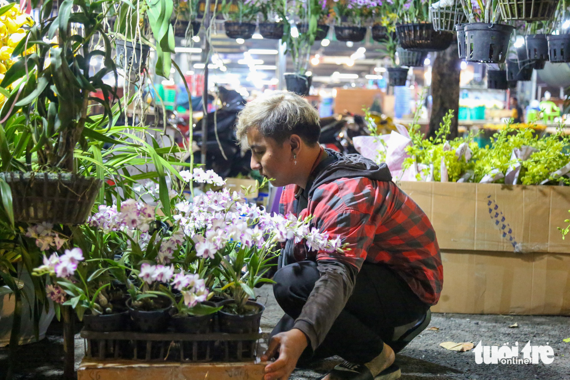 A man takes care of his ornamental plants at a flower market at Binh Dien Market, Thu Duc City, Ho Chi Minh City. Photo: Phuong Quyen / Tuoi Tre