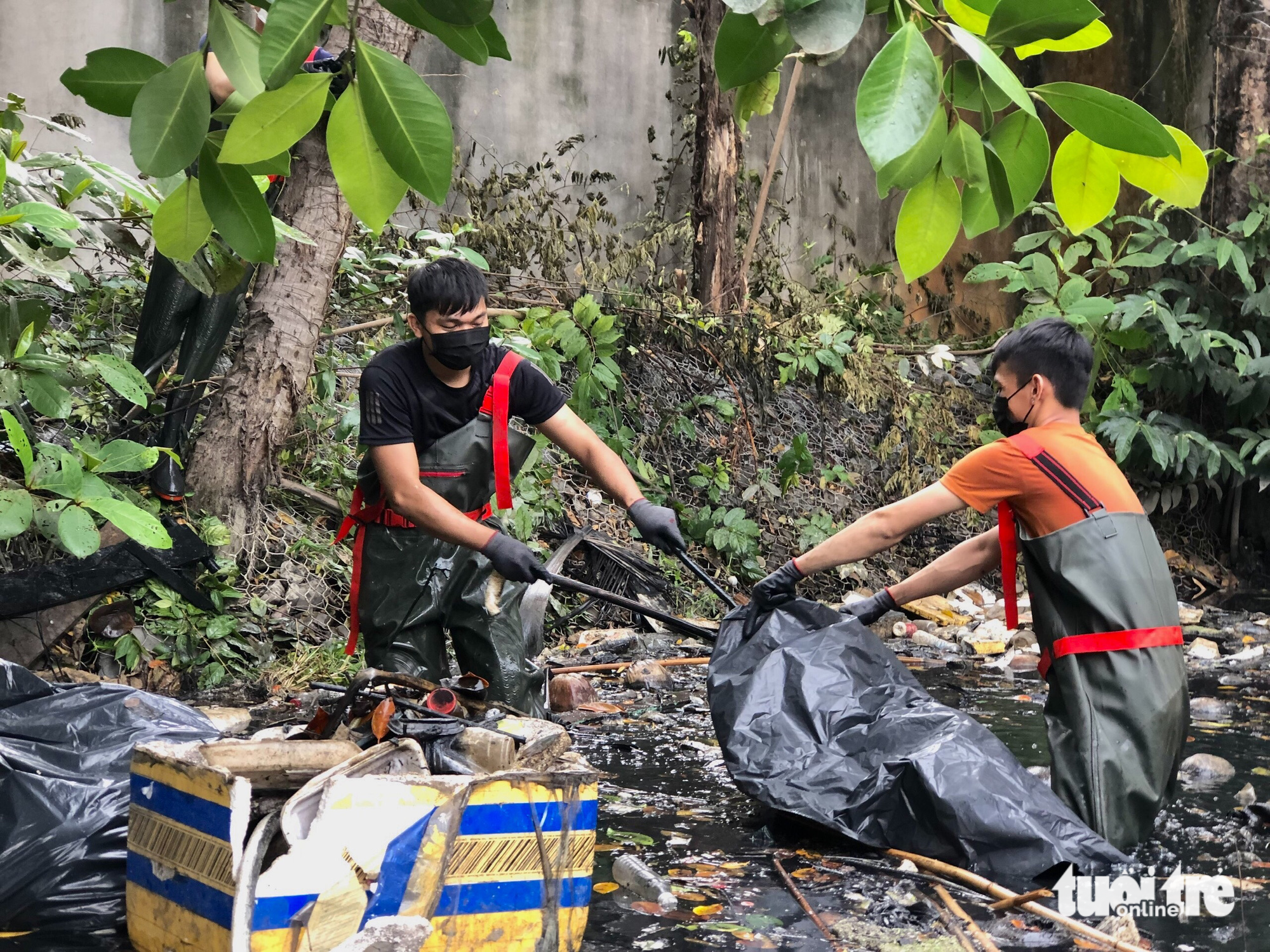 Carcasses, injection needles, and broken glass pieces are dangerous items to them.