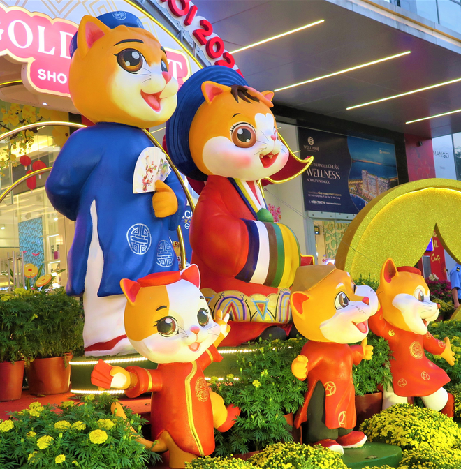 The father cat and kittens wear Ngu Than (five-piece) clothes, while the mother cat is in Nhat Binh (an outfit for concubines under the Nguyen Dynasty). Photo: Hoai Bao / Tuoi Tre